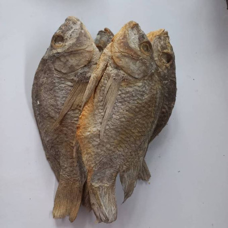 copy of Fresh Red Snapper-8lb