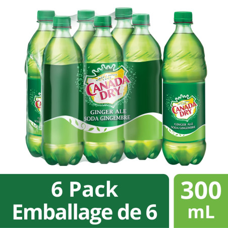 6x 300mL Canada Dry