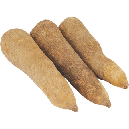 Tubes of African Yam-3pcs