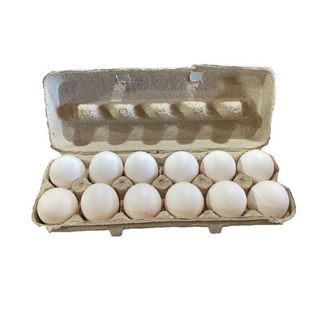 Large eggs- 12 pack