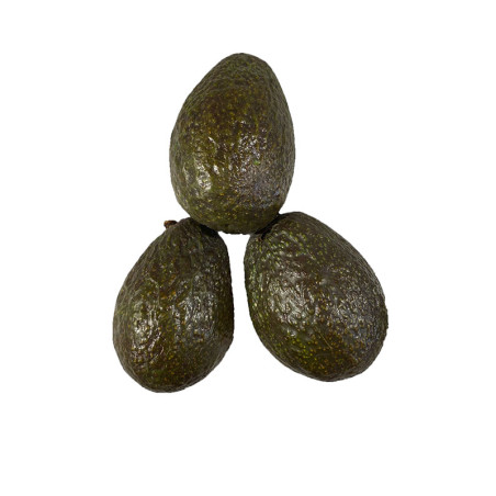 Fresh Avocados