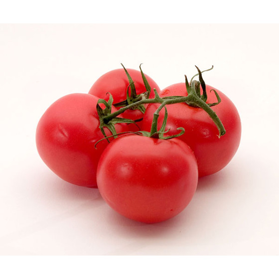 Fresh Tomato-10lb