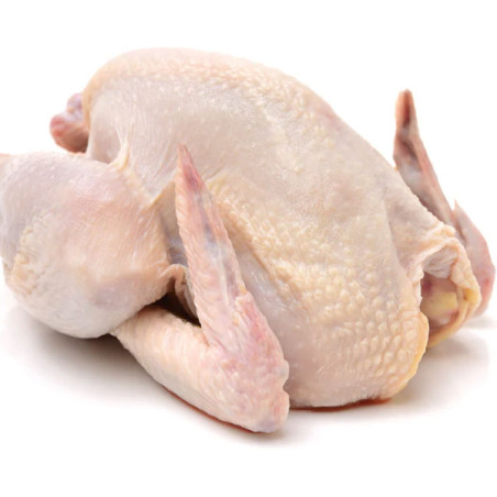 Whole Chicken-25lb